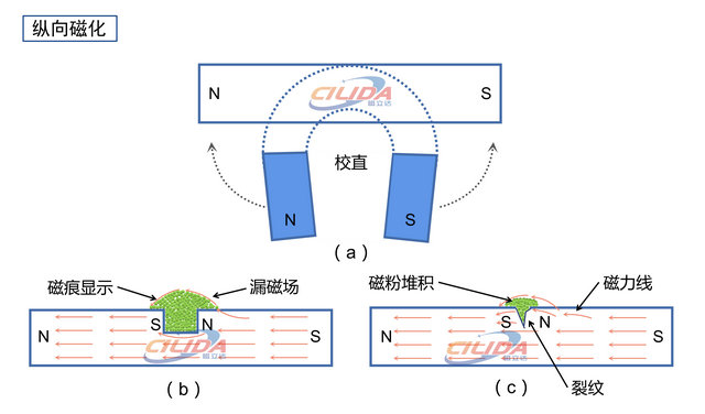 纵向磁化原理图